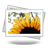 Photos_48x48